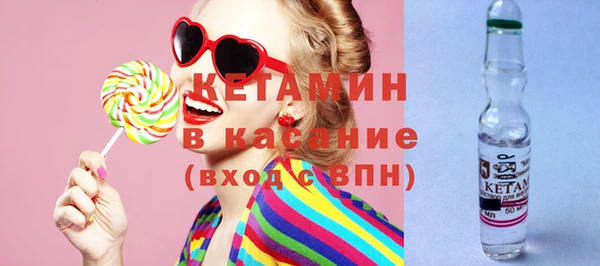 индика Киреевск
