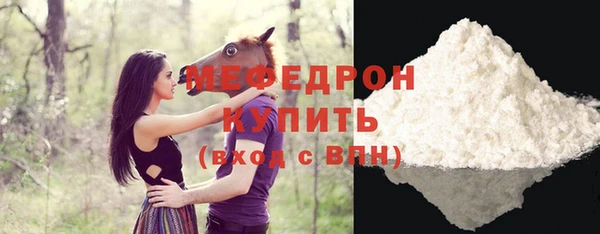 индика Киреевск
