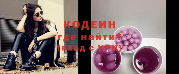 индика Киреевск