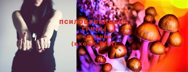 индика Киреевск