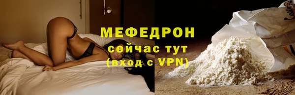 индика Киреевск