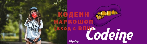 индика Киреевск