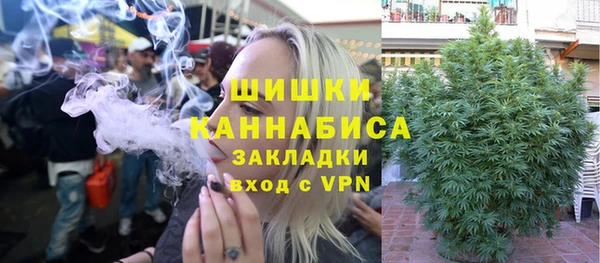 индика Киреевск