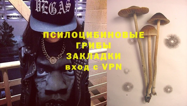 индика Киреевск