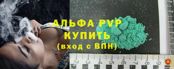 индика Киреевск