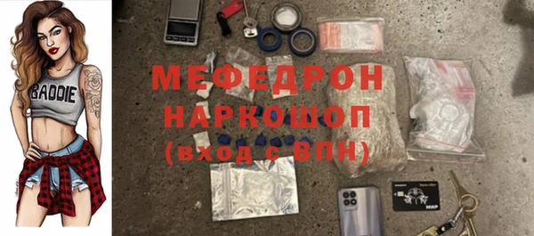 индика Киреевск