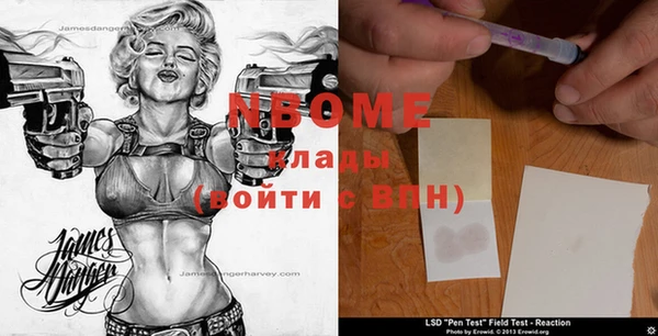 индика Киреевск