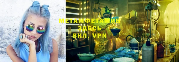 индика Киреевск