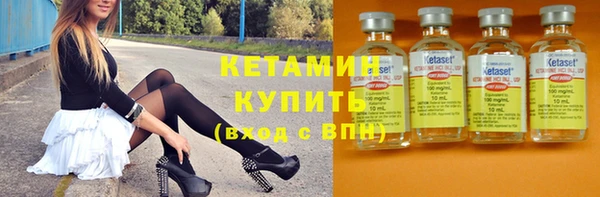 индика Киреевск