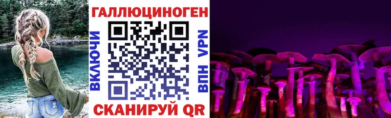 Псилоцибиновые грибы Cubensis Сясьстрой