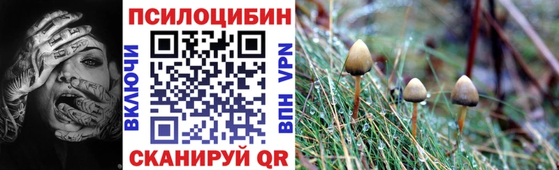 Галлюциногенные грибы ЛСД  Сясьстрой 